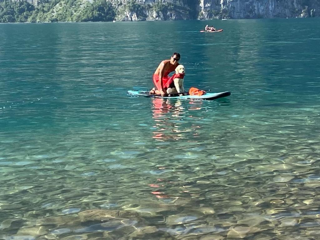 Doodle'S Amazing Chalet -Walensee - Flumserberg - Churfirsten - Heidiland - Pool - Sauna Mols Ngoại thất bức ảnh