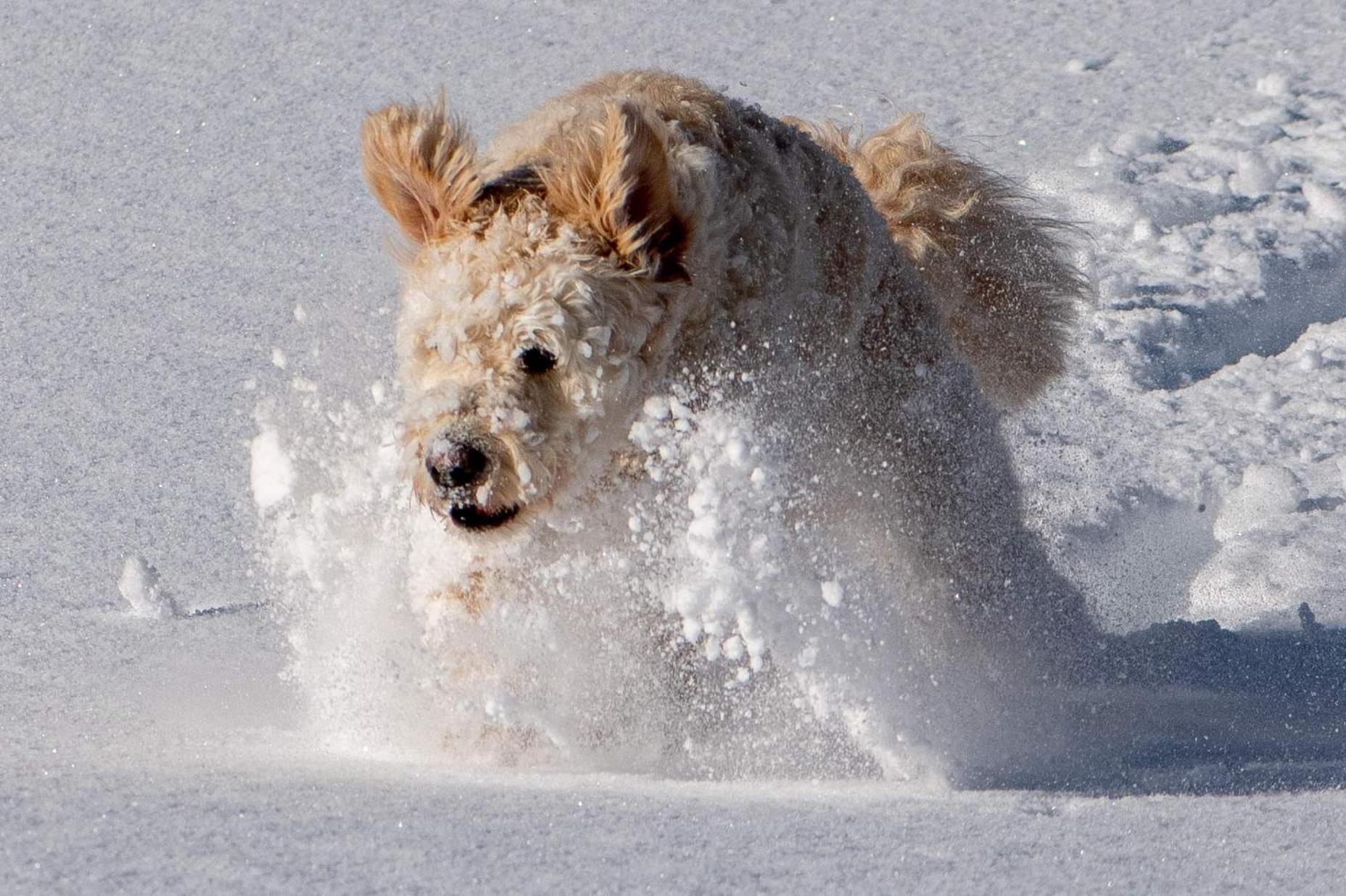 Doodle'S Amazing Chalet -Walensee - Flumserberg - Churfirsten - Heidiland - Pool - Sauna Mols Ngoại thất bức ảnh