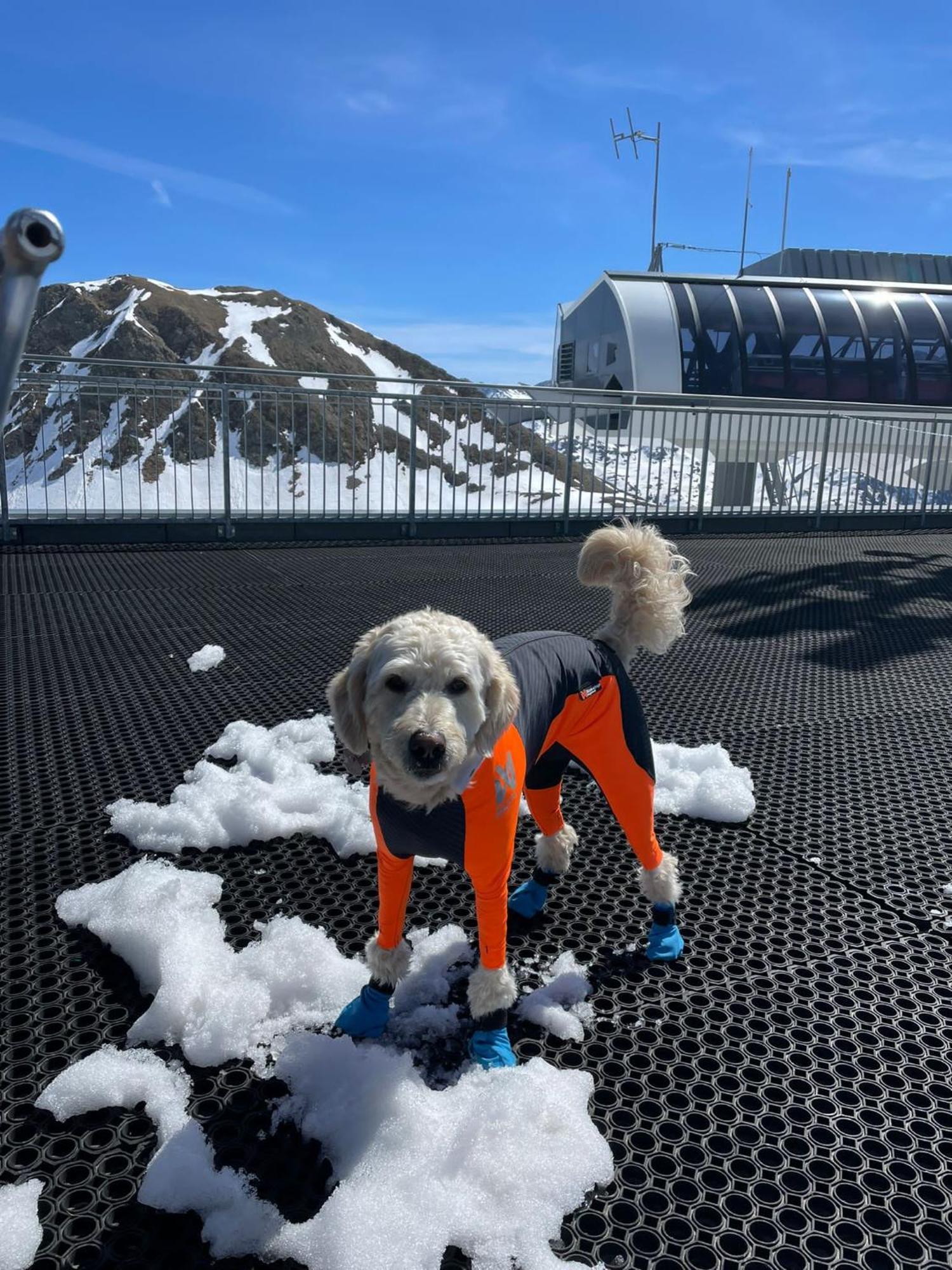 Doodle'S Amazing Chalet -Walensee - Flumserberg - Churfirsten - Heidiland - Pool - Sauna Mols Ngoại thất bức ảnh